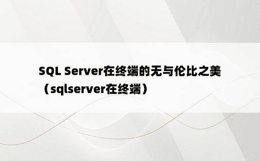 SQL Server在终端的无与伦比之美（sqlserver在终端）