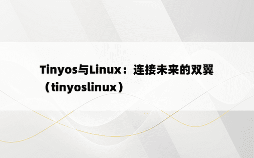 Tinyos与Linux：连接未来的双翼（tinyoslinux）