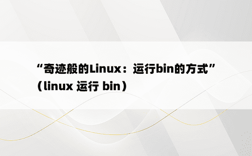“奇迹般的Linux：运行bin的方式”（linux 运行 bin）
