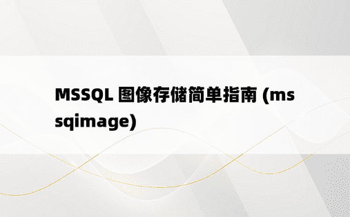 MSSQL 图像存储简单指南 (mssqimage) 