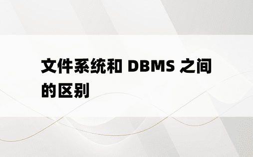 文件系统和 DBMS 之间的区别 