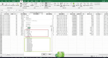 Excel日期过滤器，excel日期过滤器显示月份