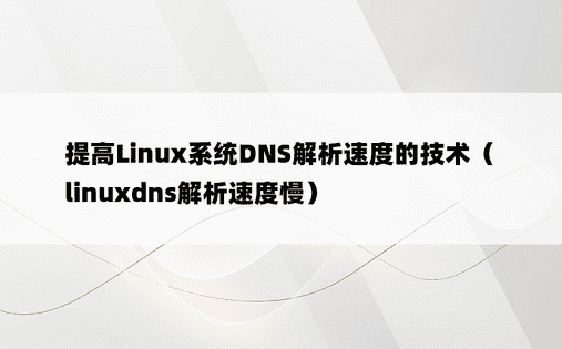 提高Linux系统DNS解析速度的技术（linuxdns解析速度慢）