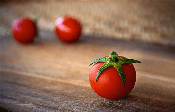 印度西红柿卖天价！上演现实版“偷菜”：有人雇保镖看店