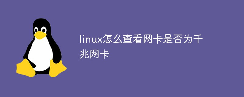 linux怎么查看网卡是否为千兆网卡