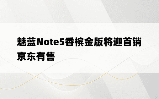 魅蓝Note5香槟金版将迎首销 京东有售