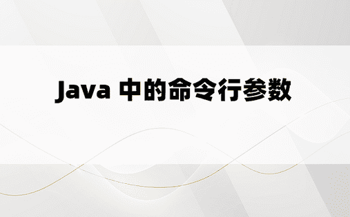 Java 中的命令行参数 