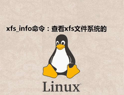 [Linux] xfs_info命令：查看xfs文件系统的具体信息