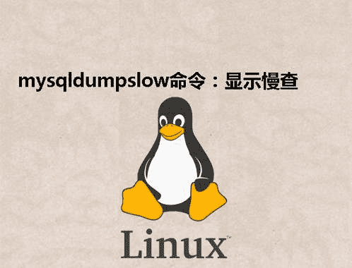 [Linux] mysqldumpslow命令：显示慢查询日志文件摘要